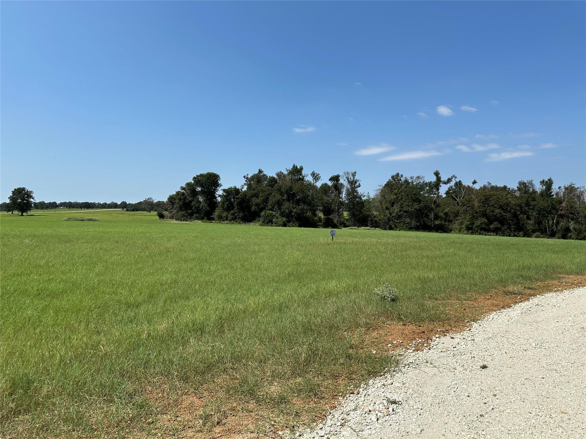 Lot 87 Horseshoe Lake Ranch