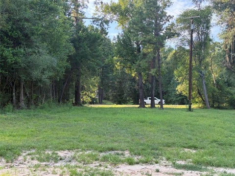 Photo of 14579 Hwy 87 N, Burkeville, TX 75932 (MLS # 3977881)