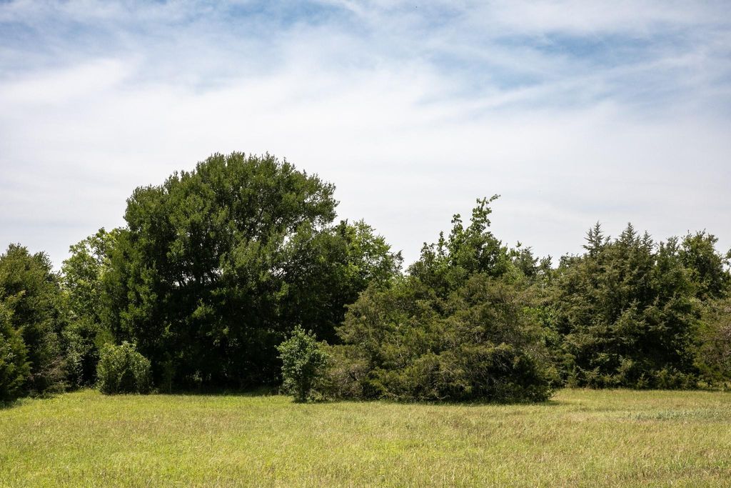 Photo of 5427 Mustang Road, Brenham, TX 77833 (MLS # 10130946)