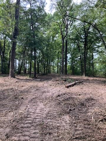 400 Pine Forest Acres