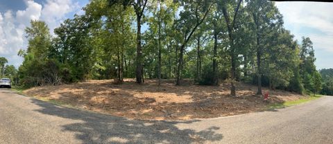 Vacant Land For Sale - 400 Pine Forest Acres Dr<br/> Trinity County, Trinity, TX 75862