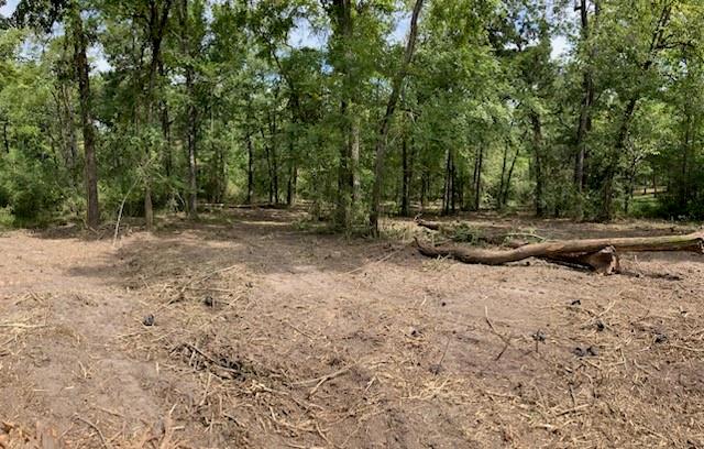 400 Pine Forest Acres