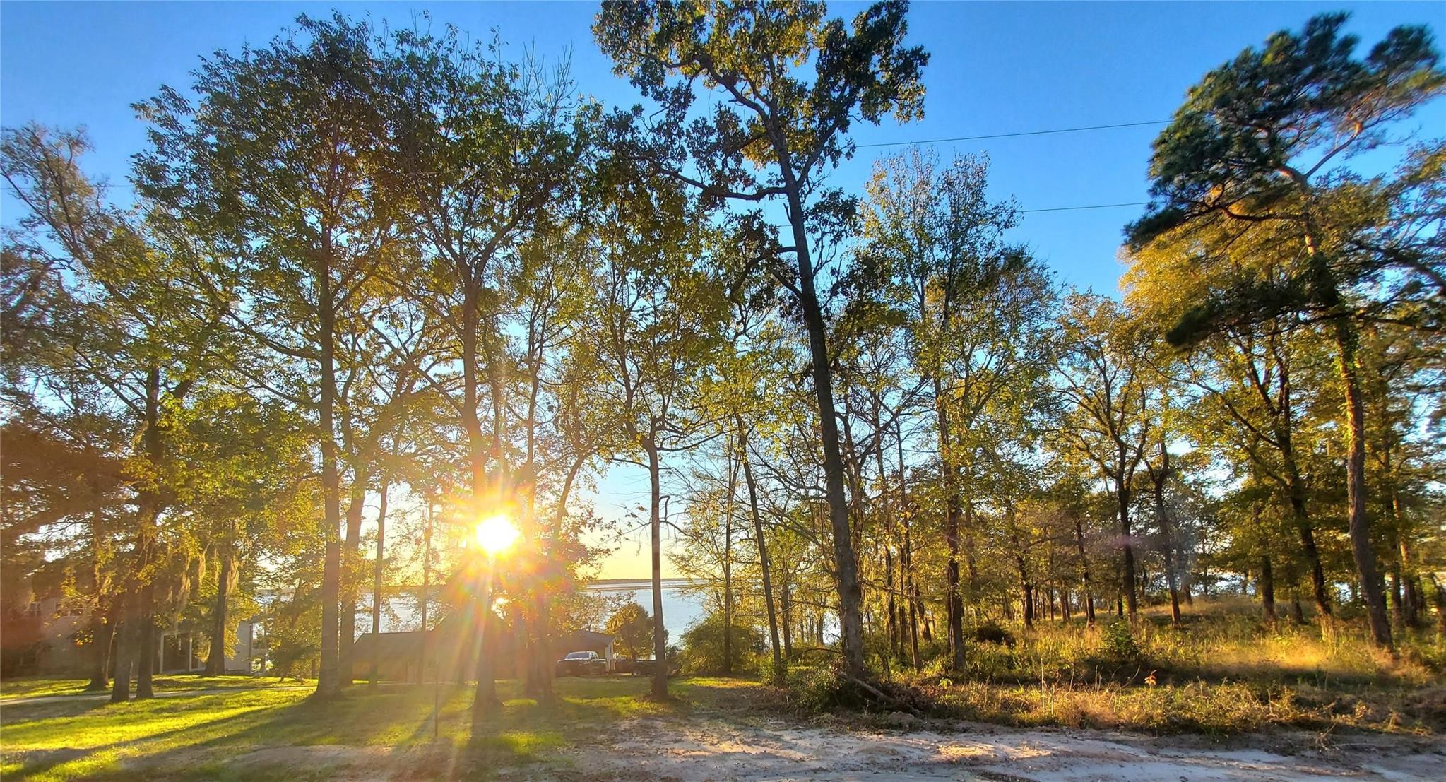 400 Pine Forest Acres