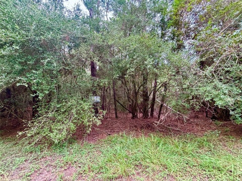 Photo of TBD Parkview Drive, Onalaska, TX 77360 (MLS # 64386520)