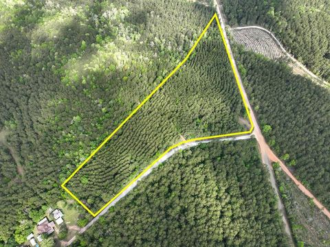 Vacant Land For Sale - 1 Cr 4300<br/> Tyler County, Woodville, TX 75979