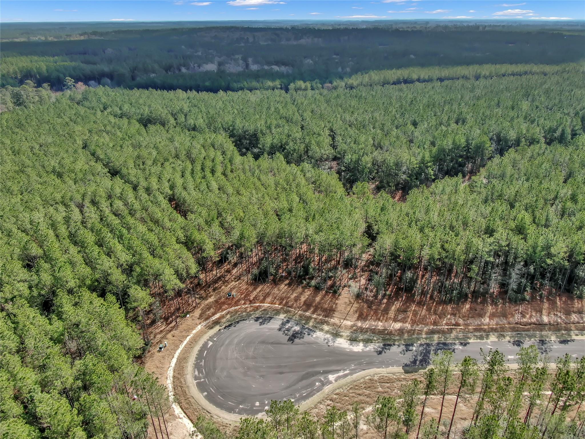 16207 Golden Wood Court