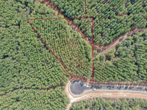 16207 Golden Wood Court Willis TX 77378