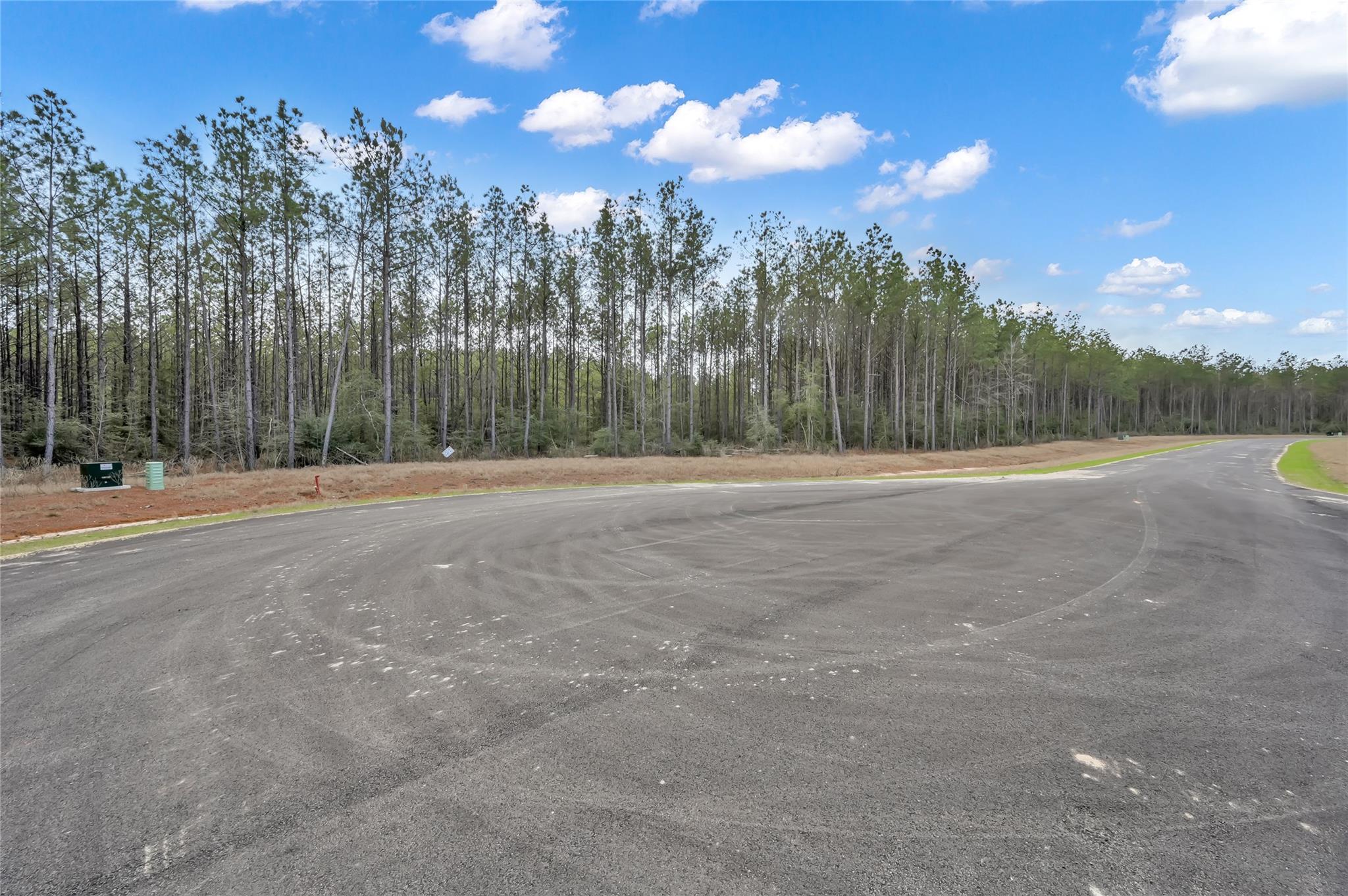 16207 Golden Wood Court