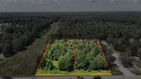 Vacant Land For Sale - 2087 County Road 3405<br/> Liberty County, Cleveland, TX 77327