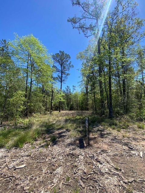 Photo of 39 Fm 1751, Broaddus, TX 75929 (MLS # 77113792)