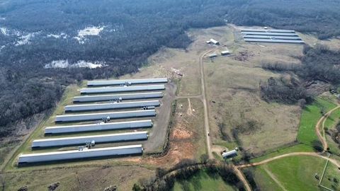 834 County Road 1548 Center TX 75935