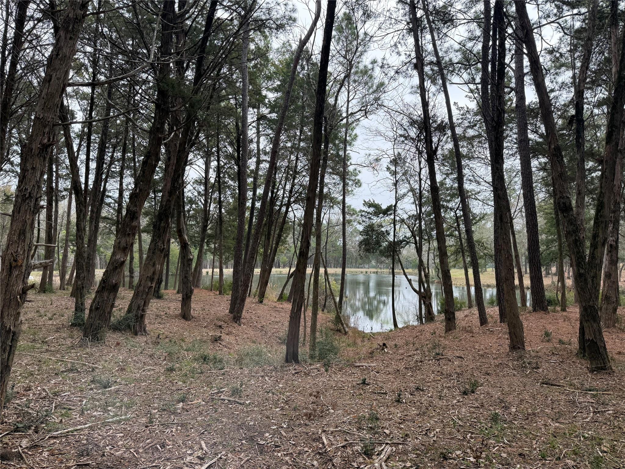 Photo 1 of 8 — Lot 7 Block 2 Evergreen Hill Lane, Willis, TX 77378