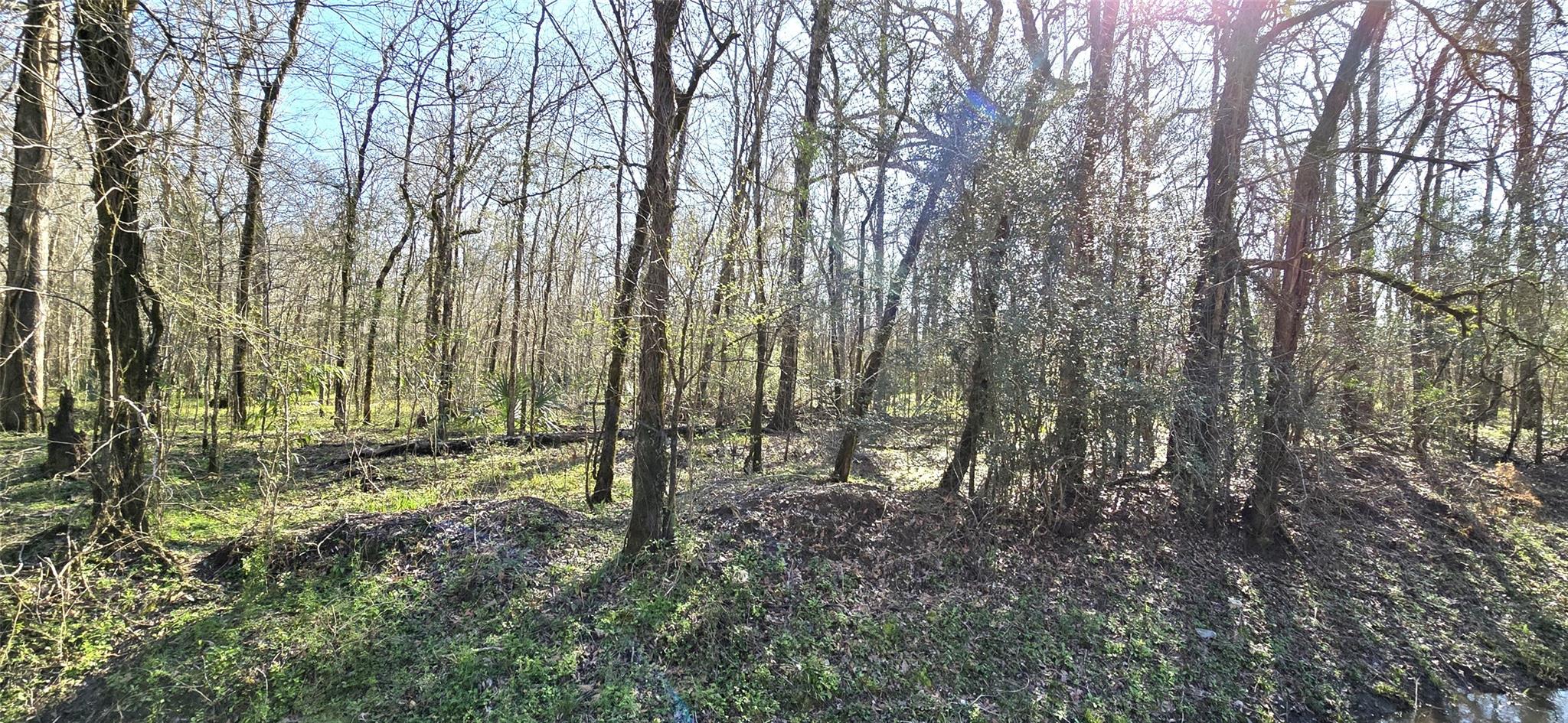 TBD County Road 2500