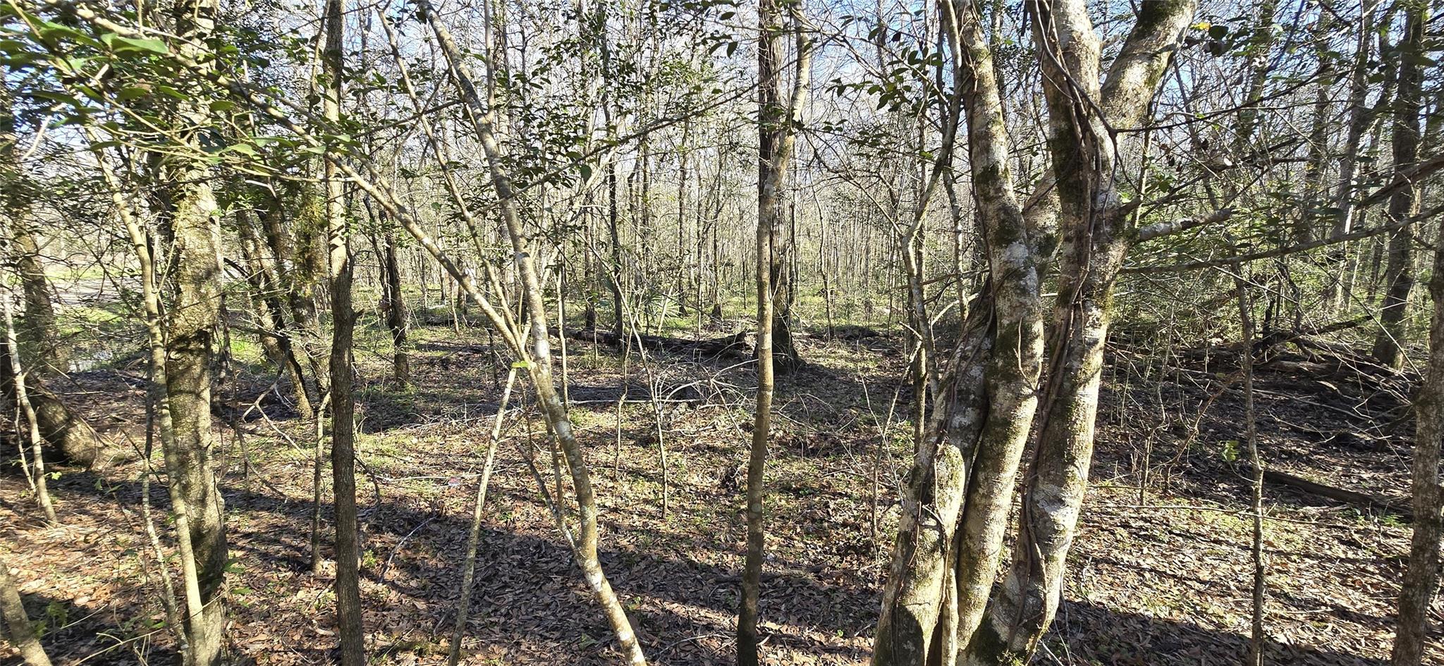 TBD County Road 2500