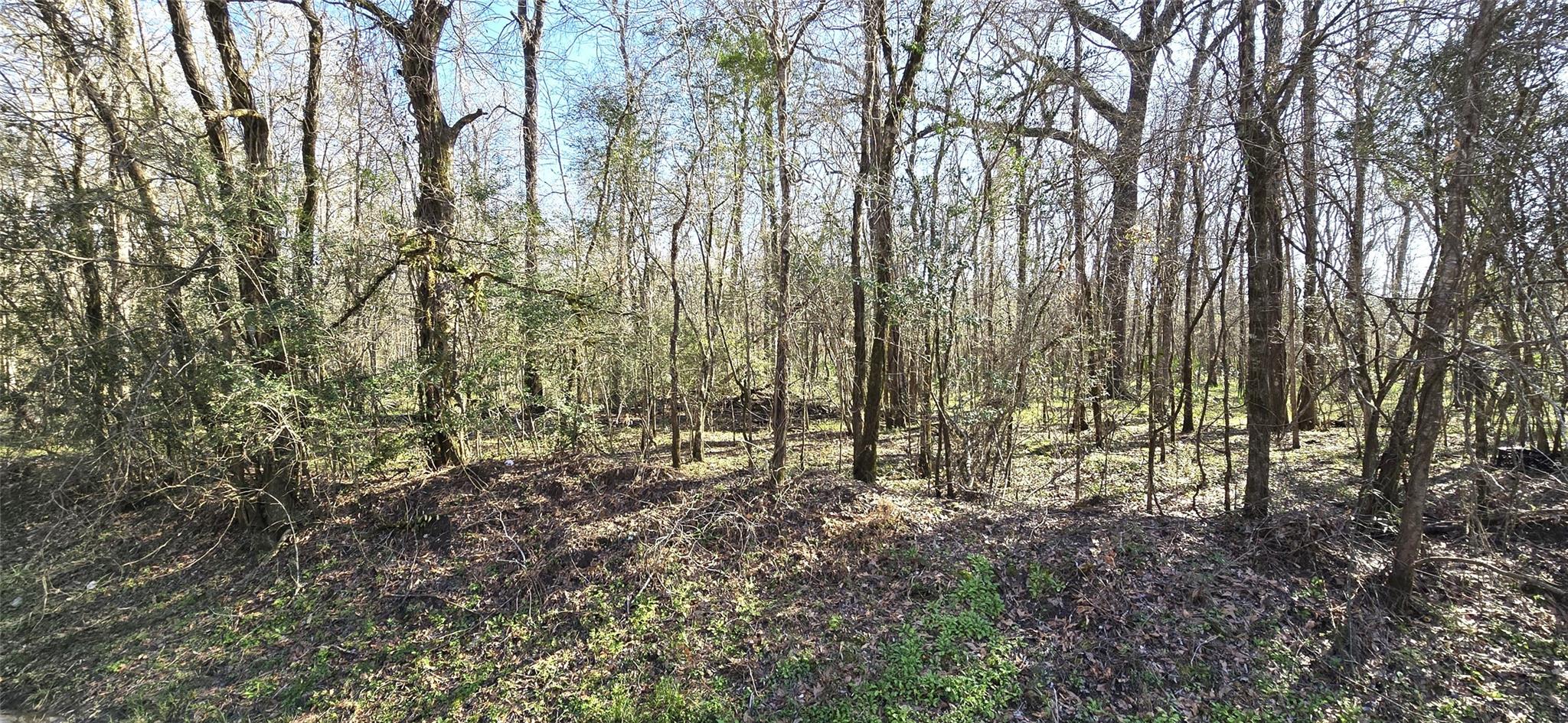 TBD County Road 2500