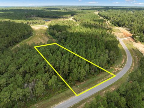 15427 Forest Grove Drive Willis TX 77378