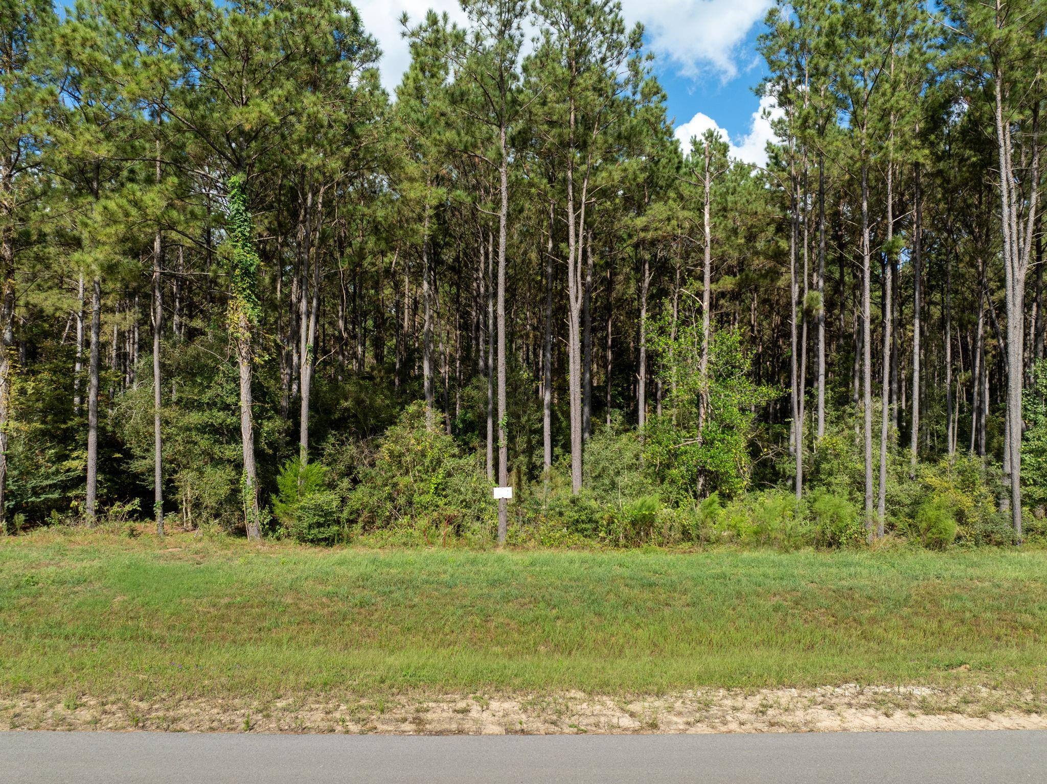 15427 Forest Grove Drive