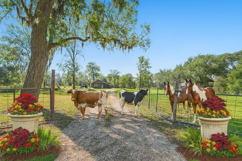 Photo of 3476 E County Road 2326, Dayton, TX 77535 (MLS # 64394389)