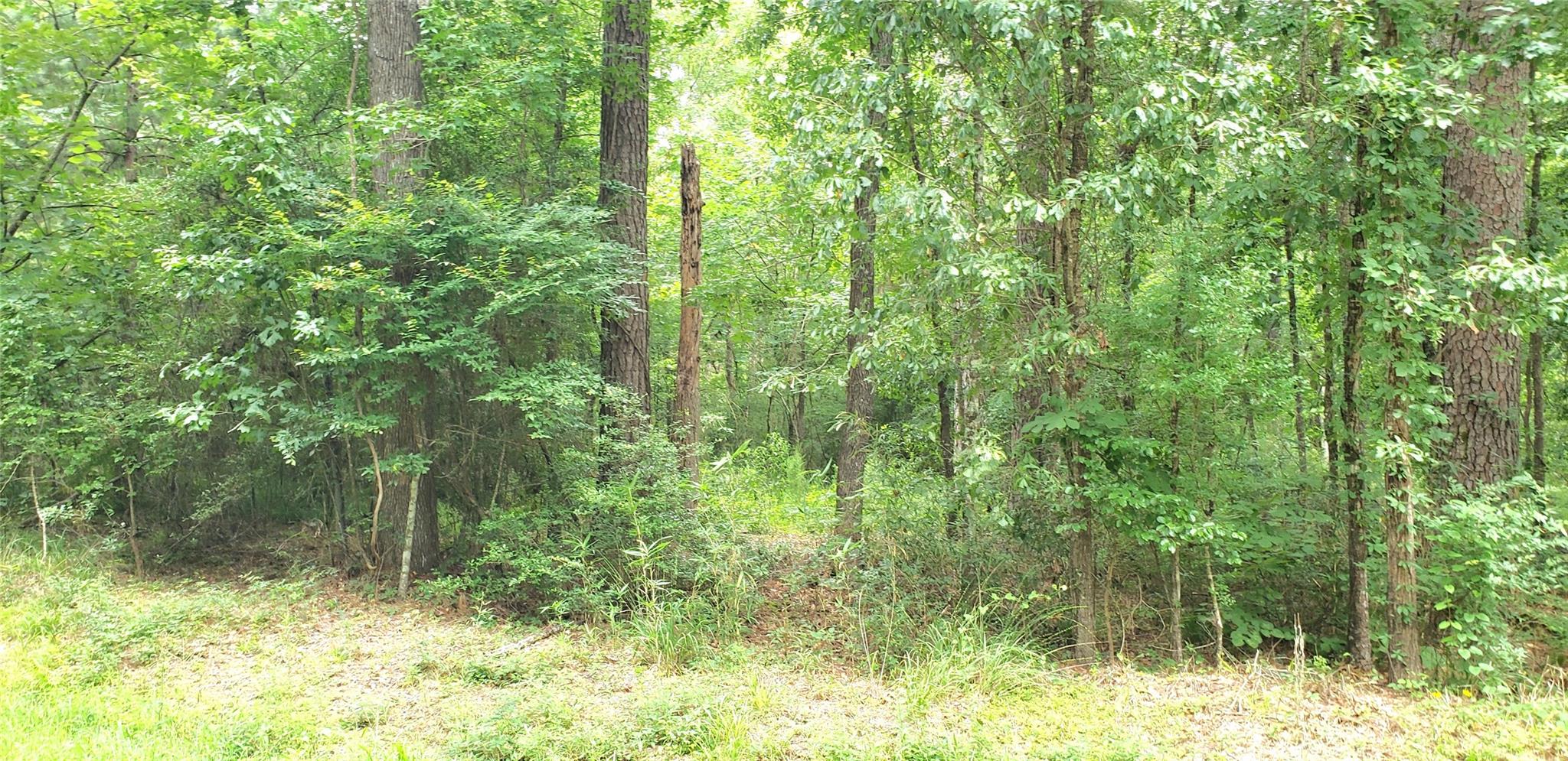 80 Morris Creek Road