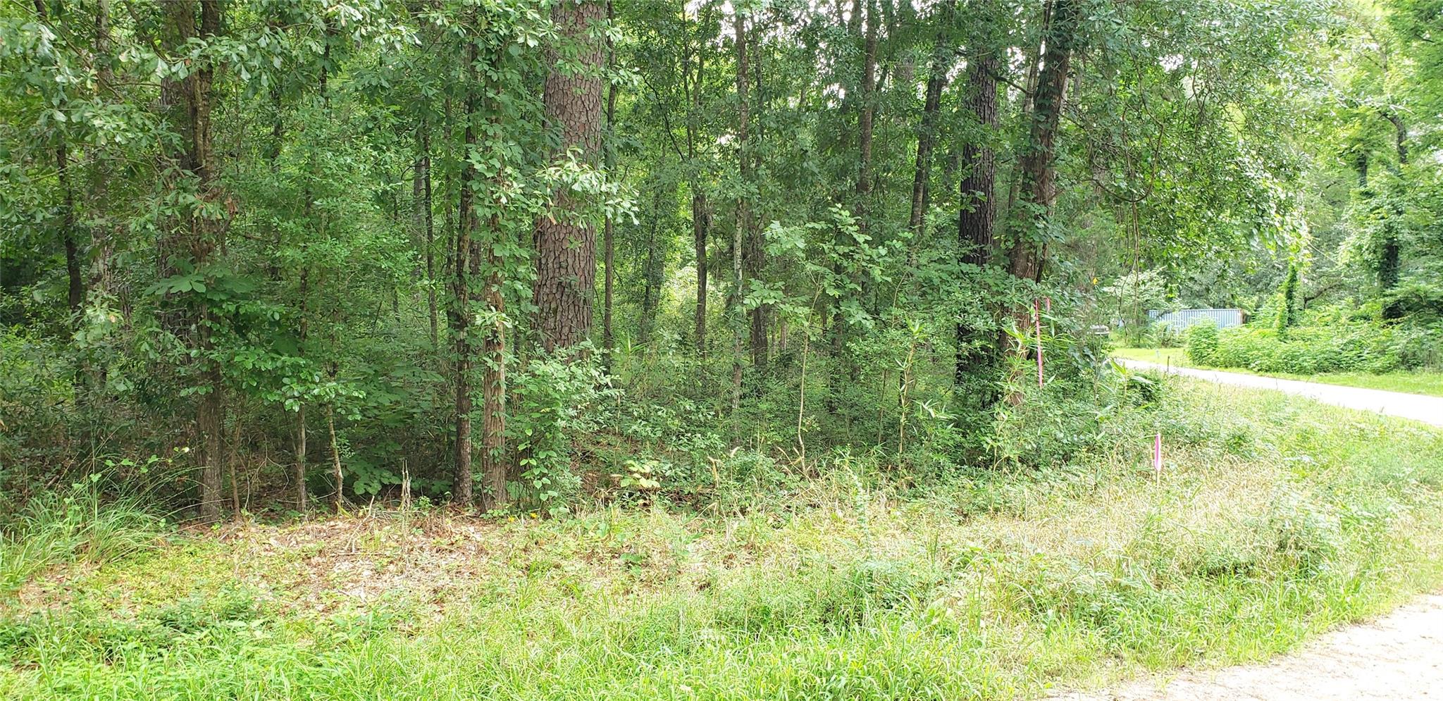 80 Morris Creek Road