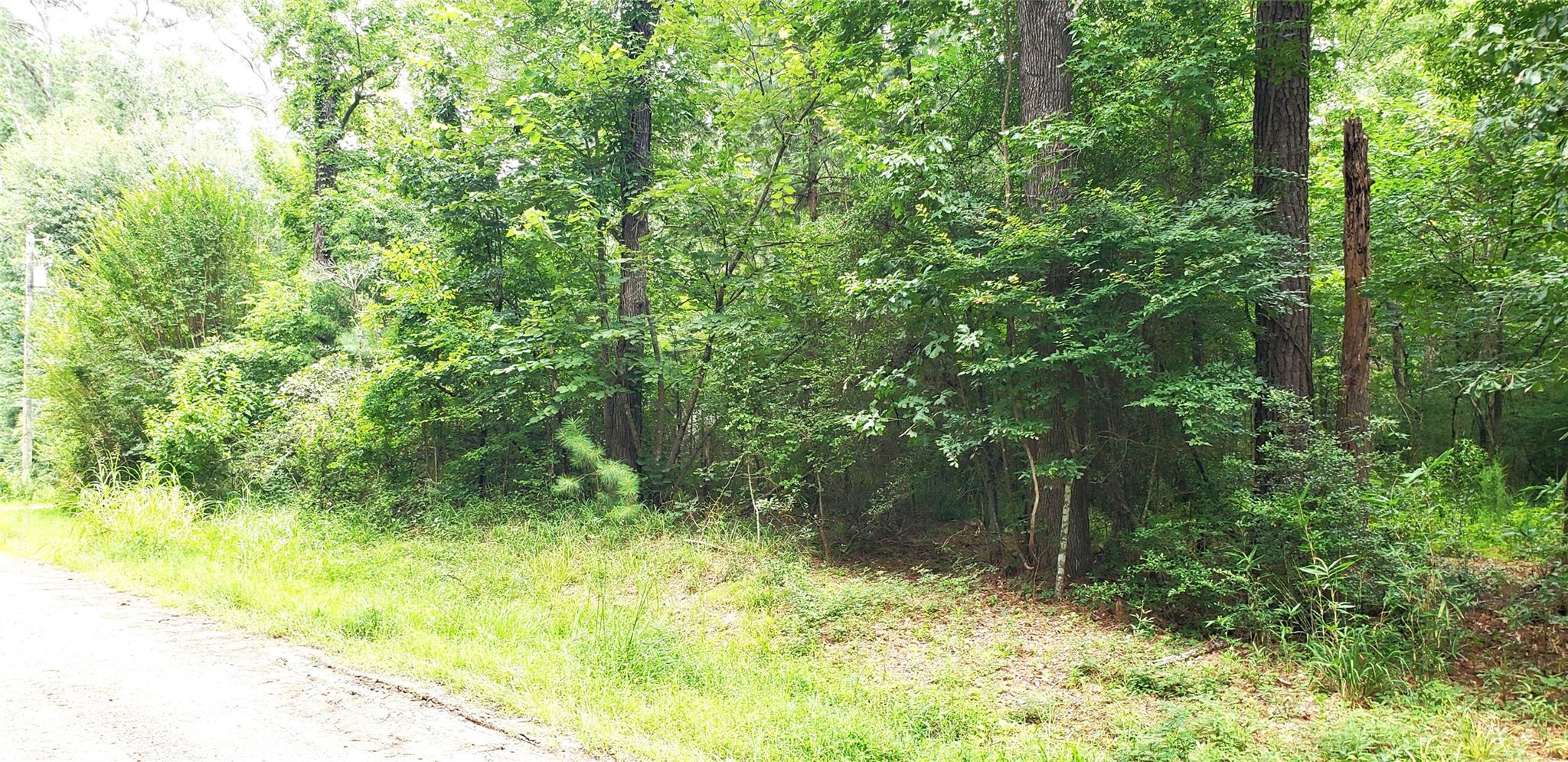 80 Morris Creek Road