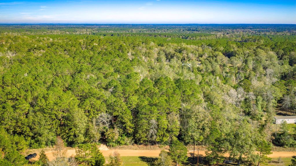 Photo of 2 Portico, Livingston, TX 77351 (MLS # 62556915)