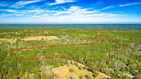 Photo of 2 Portico, Livingston, TX 77351 (MLS # 62556915)
