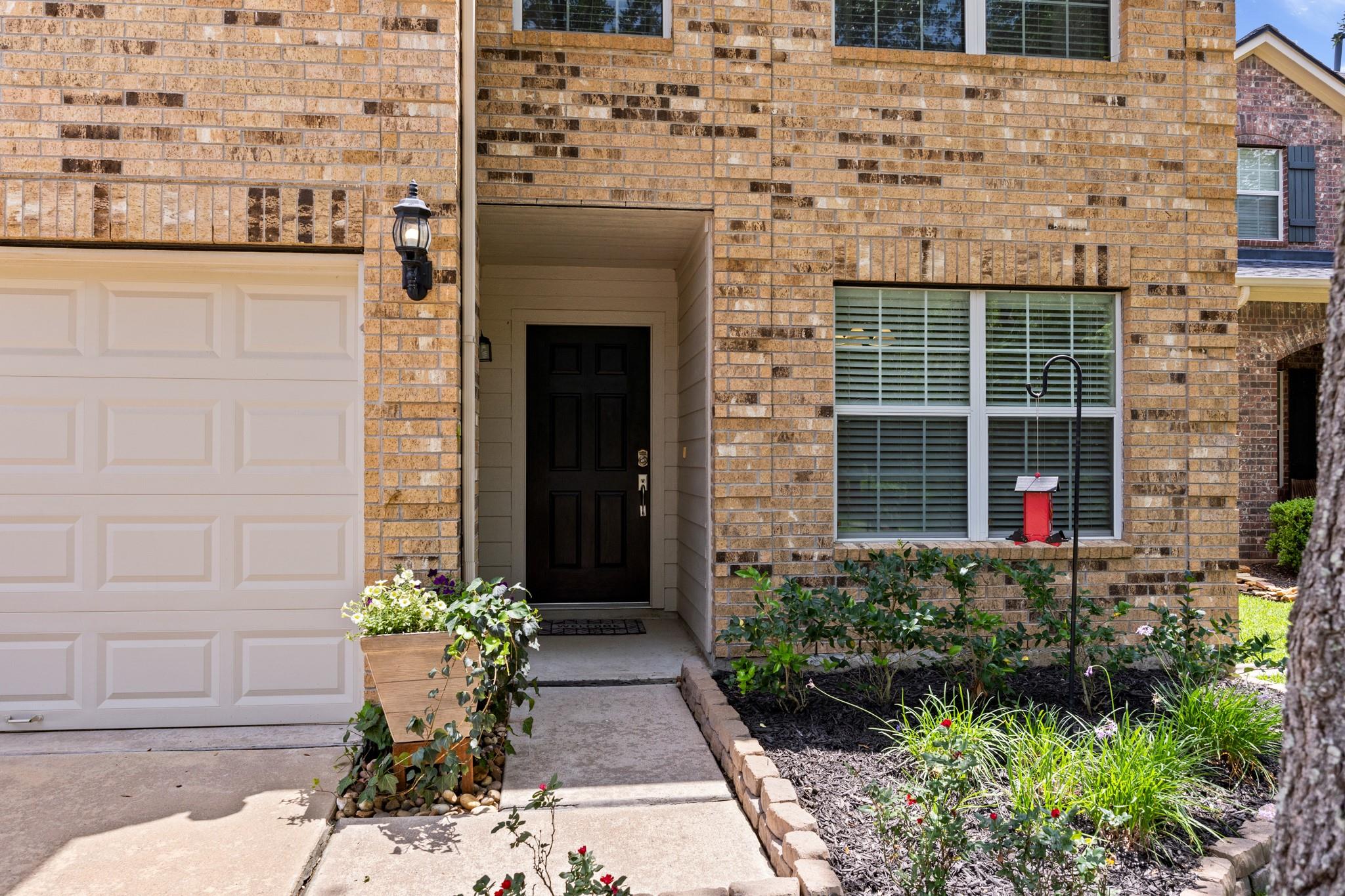 7206 Toad Hollow