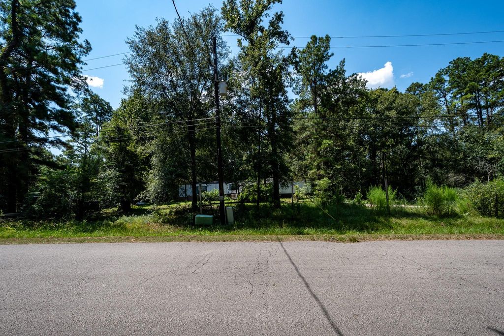 Photo of 19502 Crystalwood Estates Drive, New Caney, TX 77357 (MLS # 5894293)