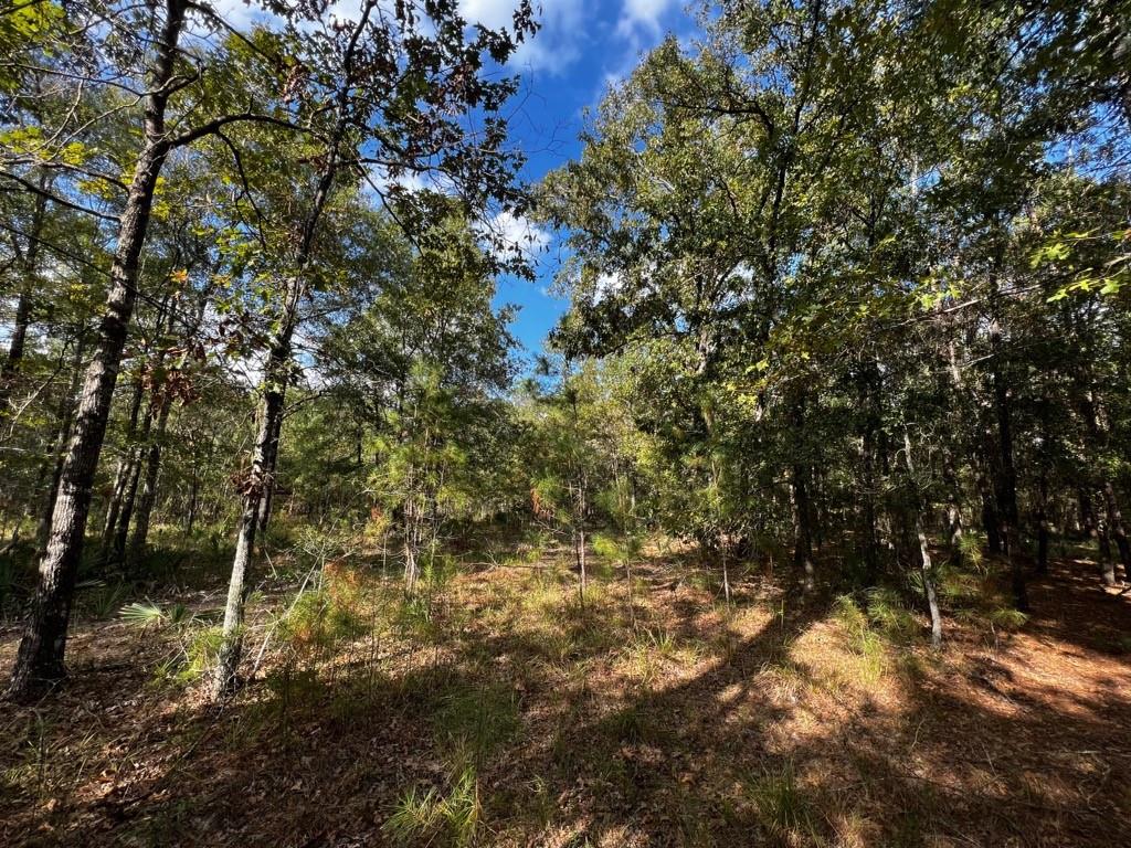 11809 White Oak Pass