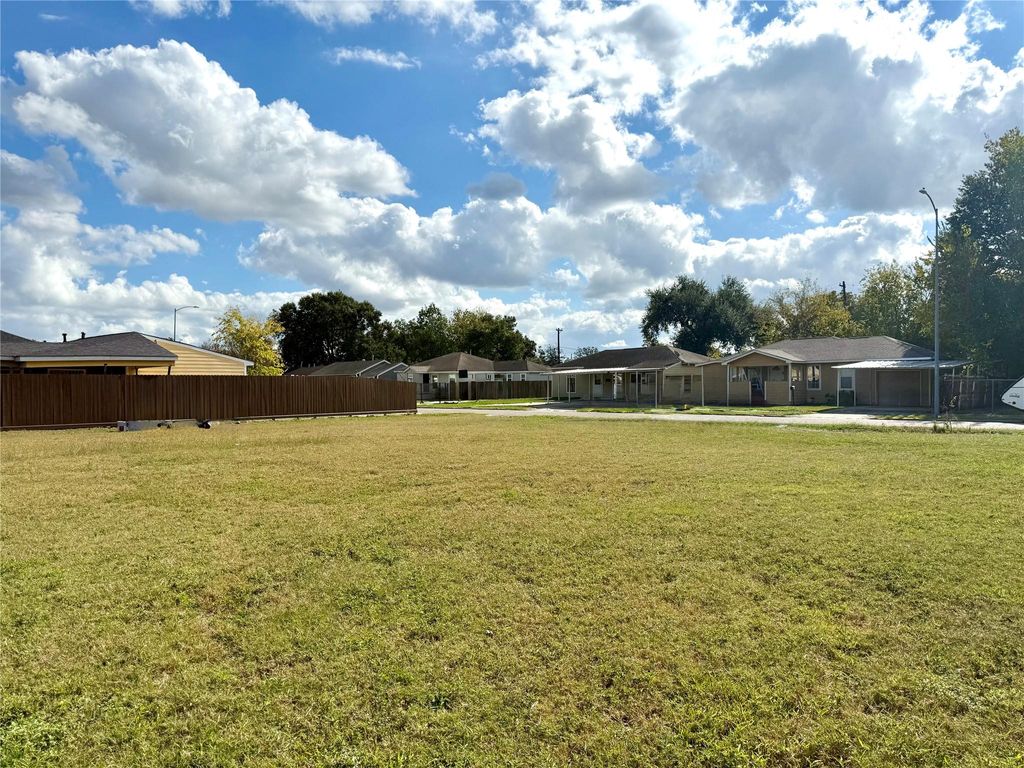 Photo of 6709 Ilex Street, Houston, TX 77087 (MLS # 68102141)