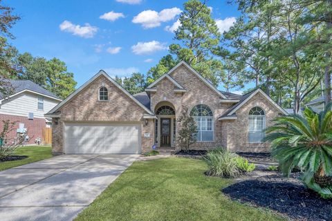 6 Long Springs Place The Woodlands TX 77382