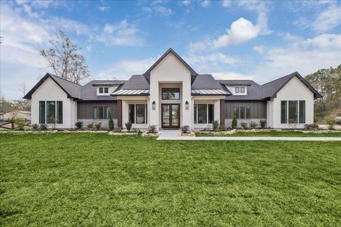 19470 Nasas Drive Porter TX 77365