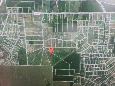 16419 Majestic Oaks Drive Rosharon TX 77583