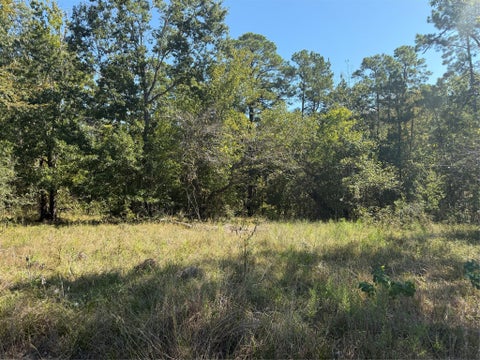 Photo of TBD Shadowood 2 Lane, Coldspring, TX 77331 (MLS # 71403909)