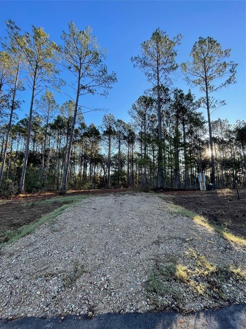 11350 Annie Creek Drive Willis TX 77378