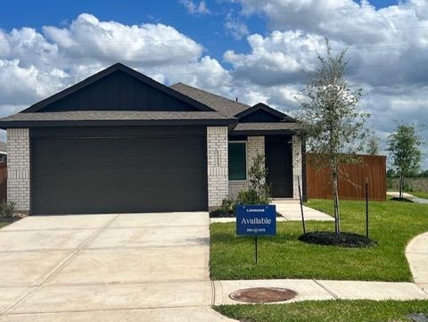 10423 Birds Nest Drive Beasley TX 77417