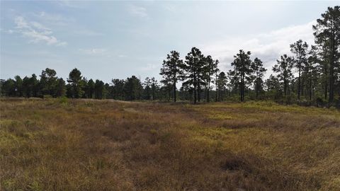 Vacant Land For Sale - 3711 Felix Currie Road<br/> Point Blank, TX 77364