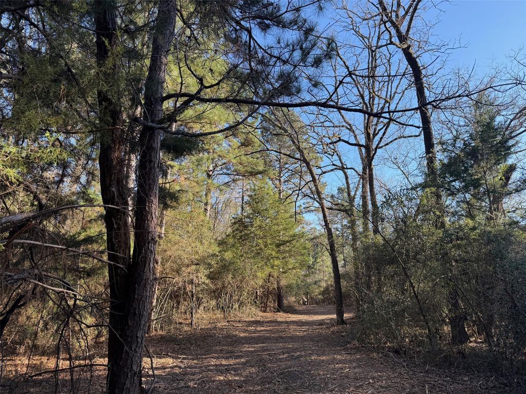 Photo of 26 Cr 295, Oakwood, TX 75833 (MLS # 59627633)