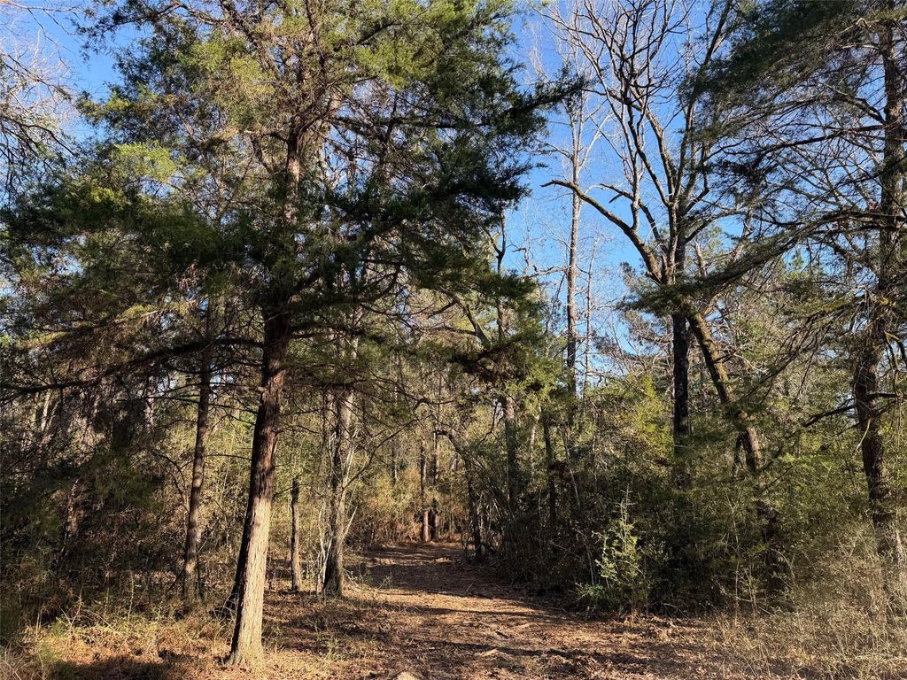 Photo of 26 Cr 295, Oakwood, TX 75833 (MLS # 59627633)