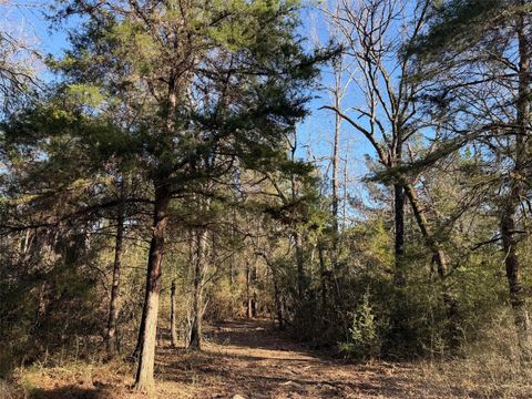 26 ac Cr 295 Oakwood TX 75833