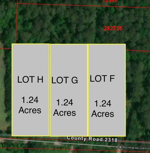 TBD LOT H Farm To Market 1008 Dayton TX 77535