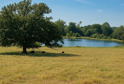 13506 Us Highway 79 Jewett TX 75846