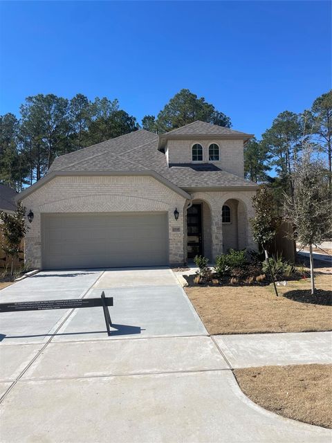 Photo of 29949 Stony Forest Drive, Magnolia, TX 77354 (MLS # 49301075)