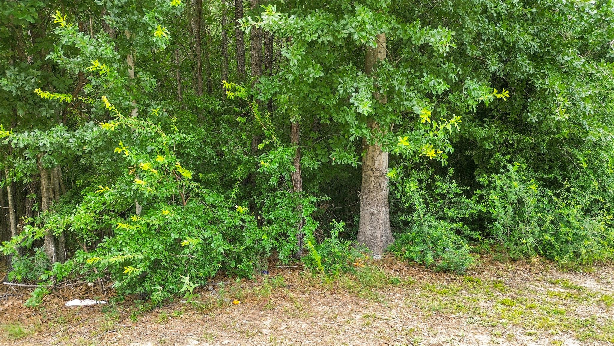 0 Deerbrook Park Boulevard