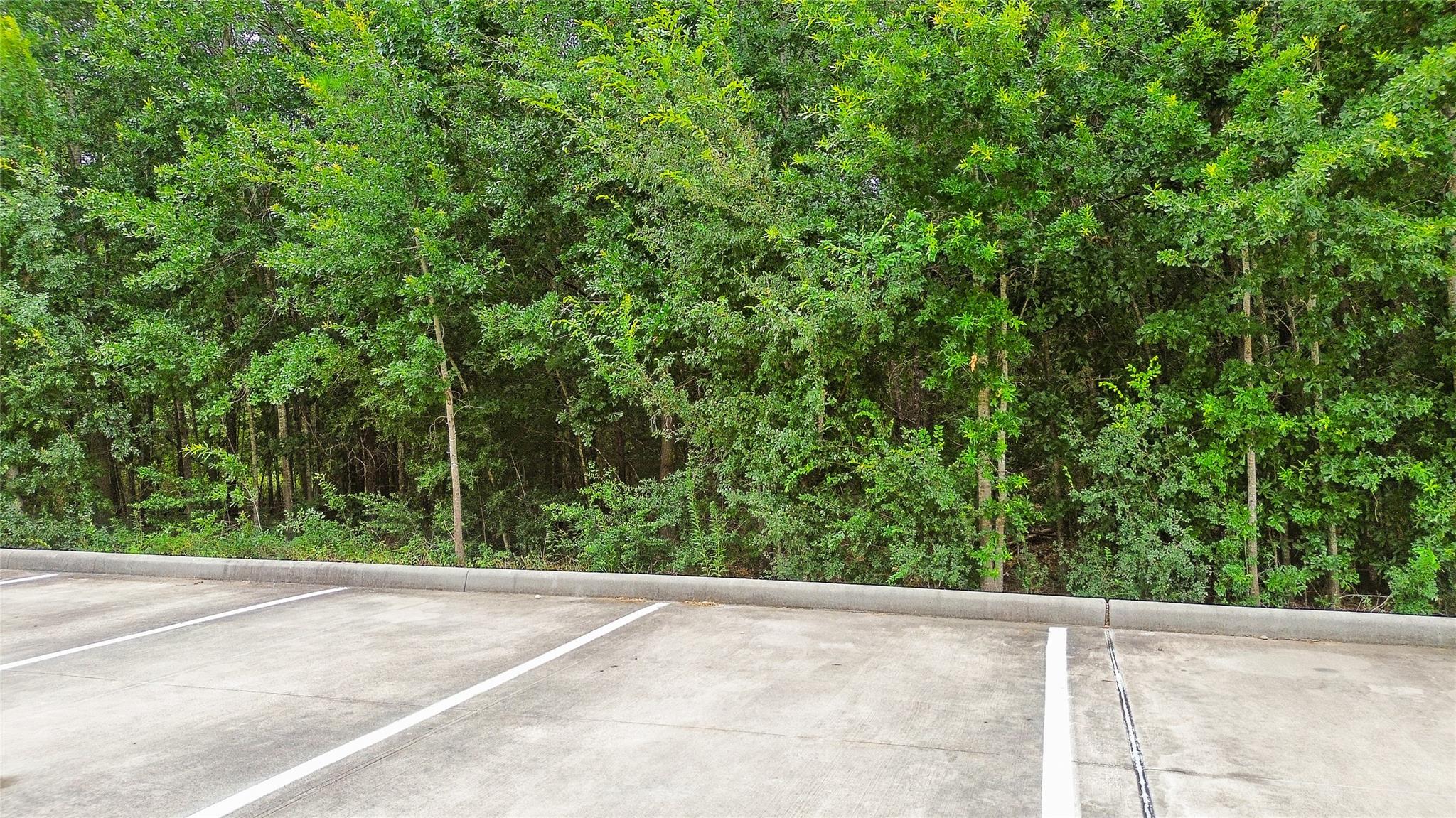 0 Deerbrook Park Boulevard