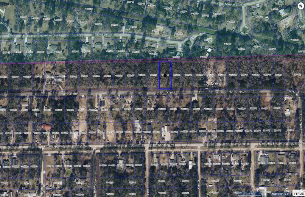 Photo of 25557 Northampton, New Caney, TX 77357 (MLS # 55766125)