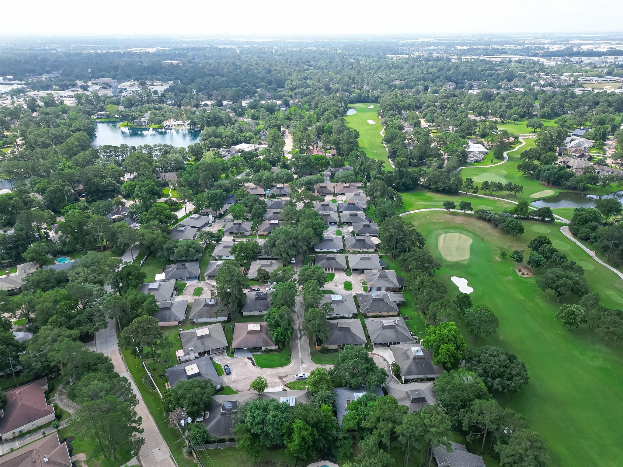 20 Champions Colony E