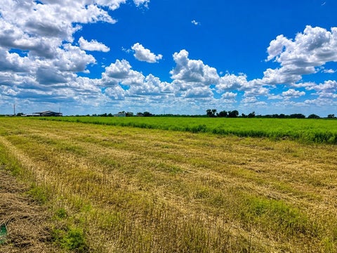 Photo of 0 Prihoda Road, Willow Springs, TX 78940 (MLS # 26010251)