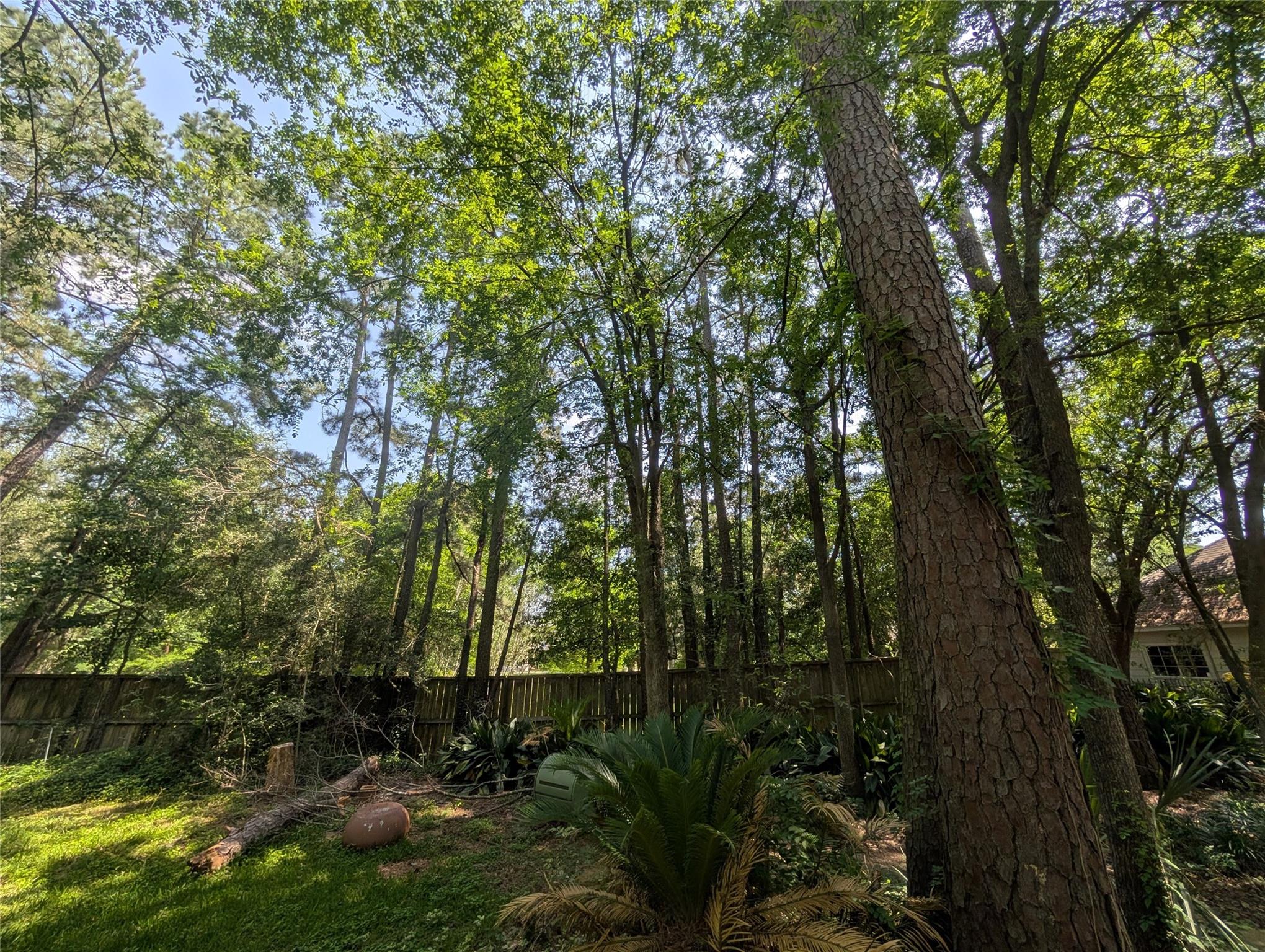 16103 Wimbledon Forest Drive